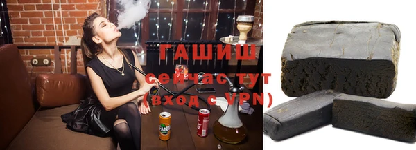 индика Беломорск