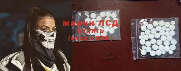 индика Беломорск