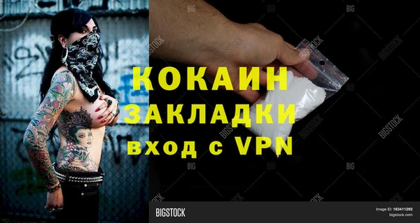 индика Беломорск