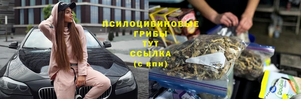 каннабис Белокуриха