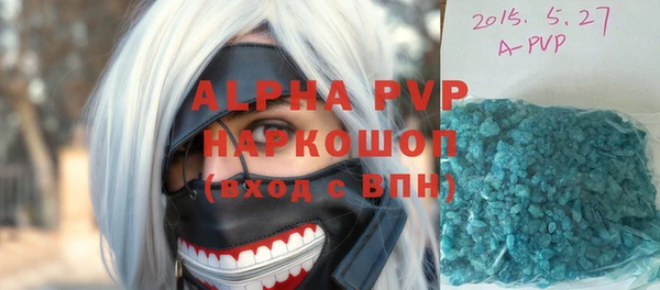 индика Беломорск