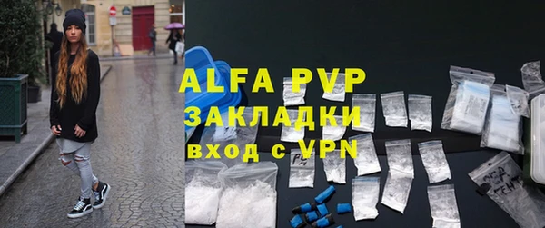 индика Беломорск